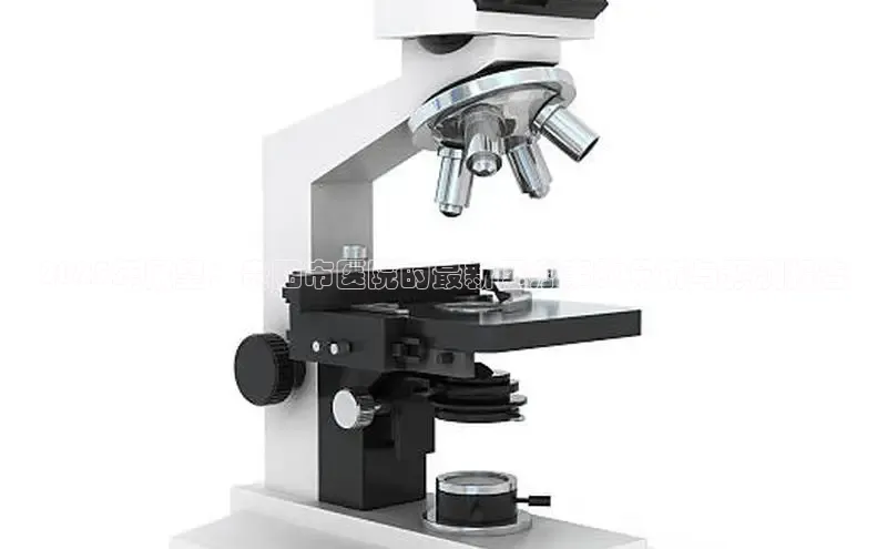 龙8long8手机登录