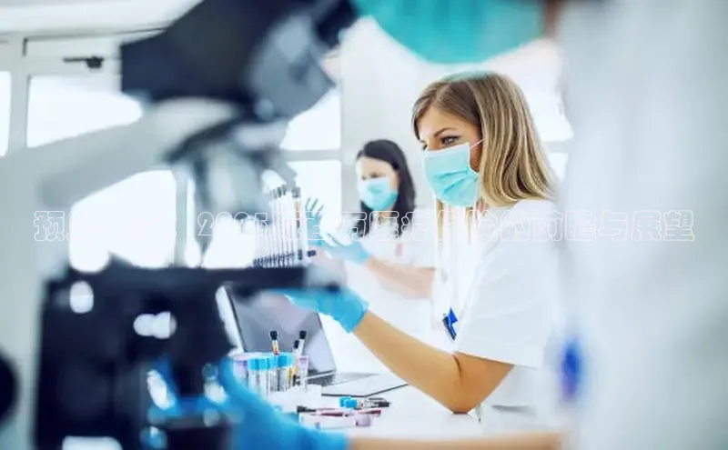 龙八国际唯一官方网站