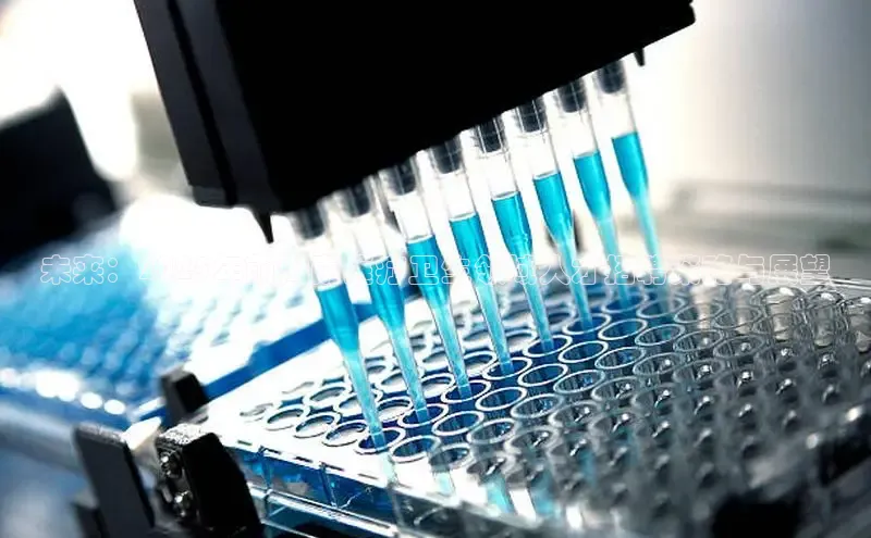 龙八国际官方唯一官网