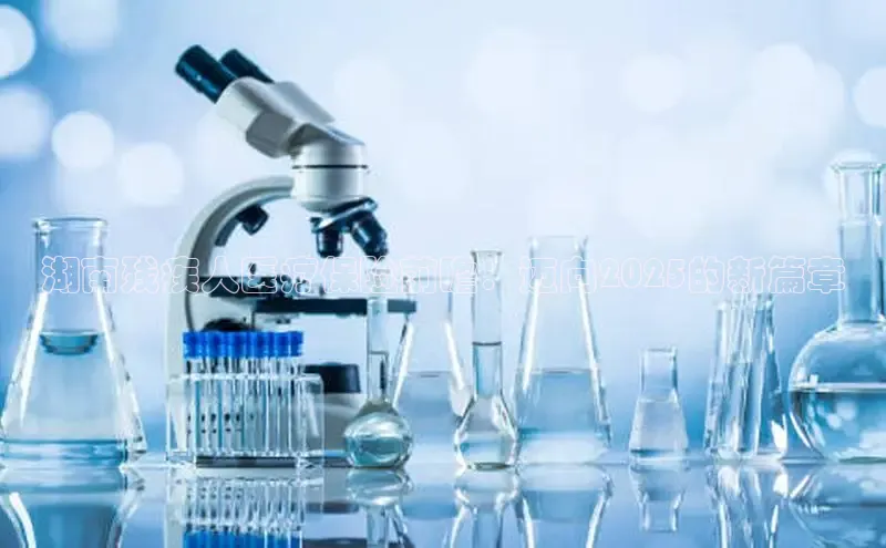 龙8官网手机登录入口