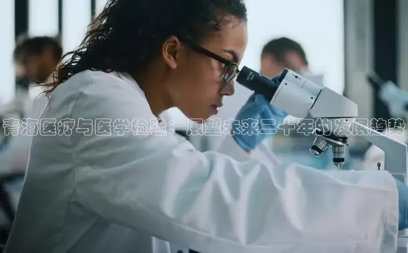 龙8官网国际